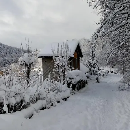 Logis L'arverne Du Rocher A Vue Sur La Montagne La Bourboule