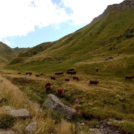 Logis L'arverne Du Rocher A Vue Sur La Montagne